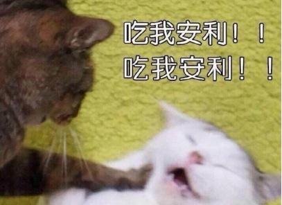 让人上头的甜宠文