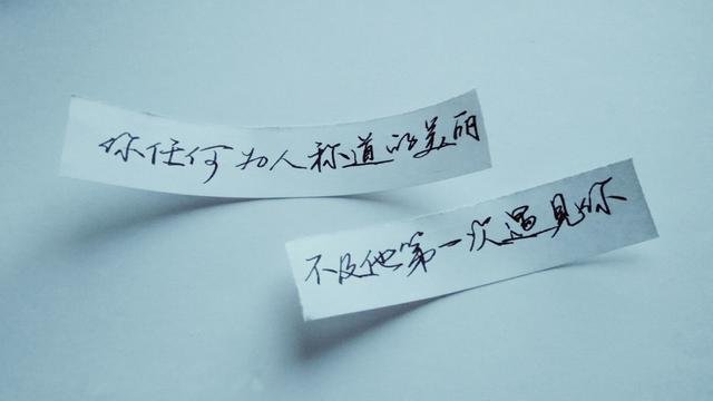 南山南的故事是什么？