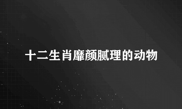 十二生肖靡颜腻理的动物
