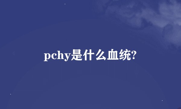 pchy是什么血统?