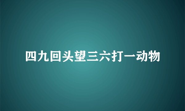 四九回头望三六打一动物