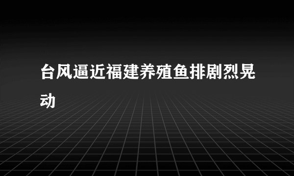 台风逼近福建养殖鱼排剧烈晃动