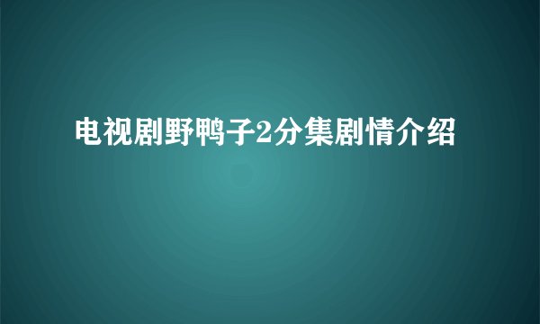电视剧野鸭子2分集剧情介绍
