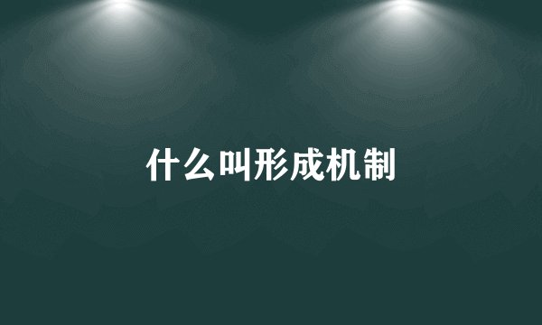 什么叫形成机制