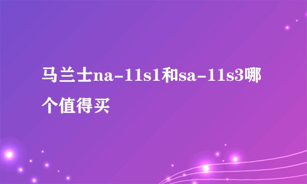 马兰士na-11s1和sa-11s3哪个值得买