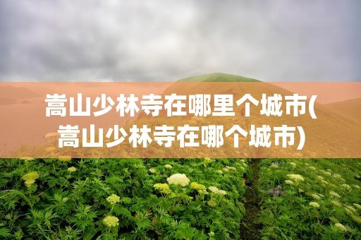 蒿山在哪里个城市哪个省