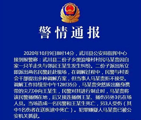 内蒙古发生重大刑事案件致3死2伤，案件的起因是什么？