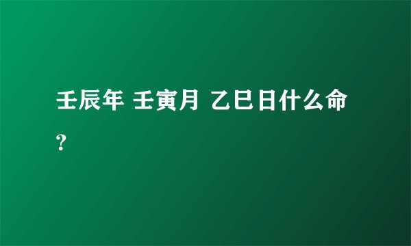 壬辰年 壬寅月 乙巳日什么命？