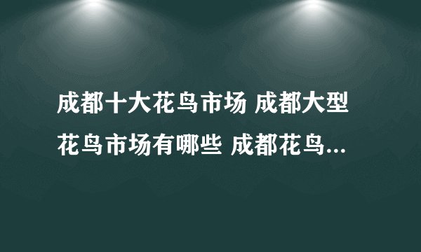 成都十大花鸟市场 成都大型花鸟市场有哪些 成都花鸟鱼虫市场在哪里