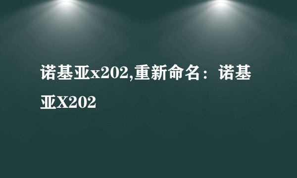 诺基亚x202,重新命名：诺基亚X202