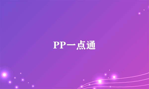 PP一点通