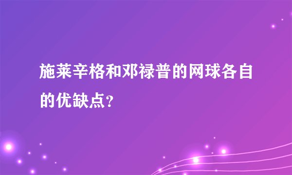 施莱辛格和邓禄普的网球各自的优缺点？