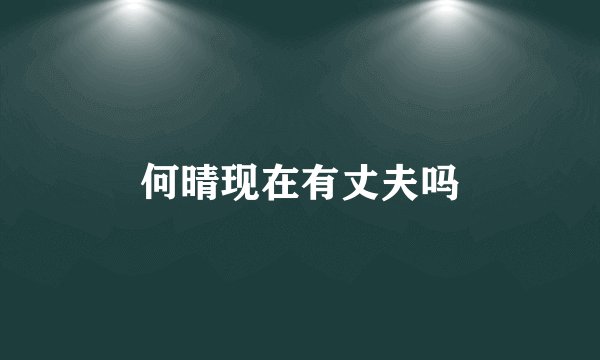 何晴现在有丈夫吗