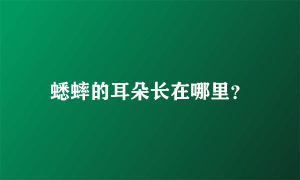 蟋蟀的耳朵长在哪里？