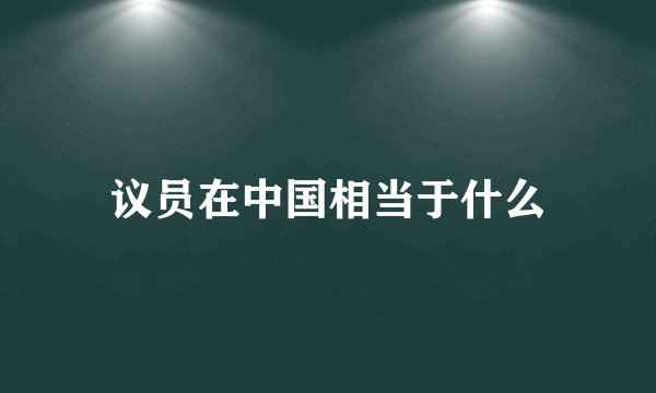 议员在中国相当于什么