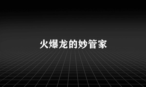 火爆龙的妙管家