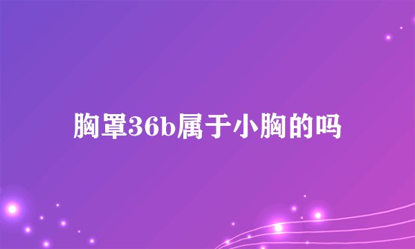 胸罩36b属于小胸的吗