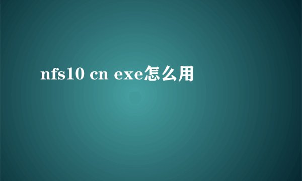 nfs10 cn exe怎么用