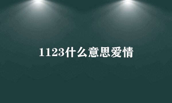 1123什么意思爱情