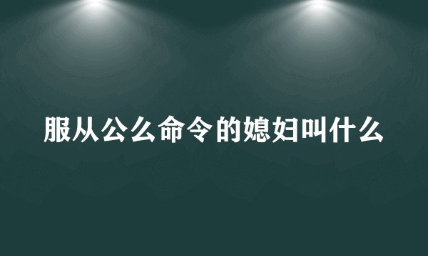 服从公么命令的媳妇叫什么