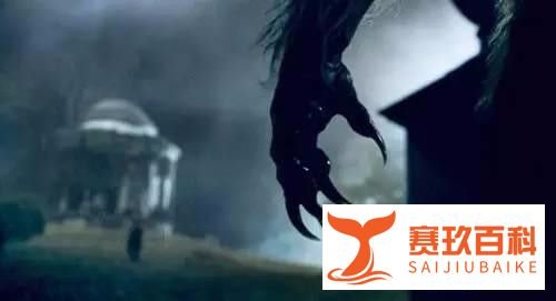 饭局狼人杀直播怎么看