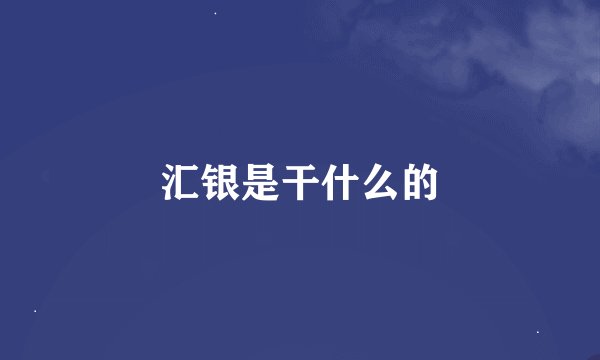 汇银是干什么的