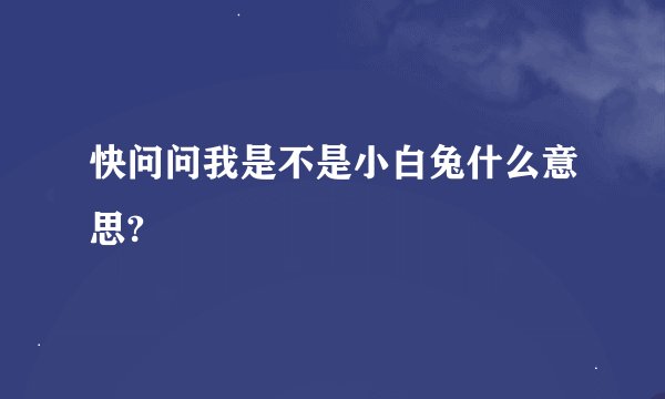 快问问我是不是小白兔什么意思?