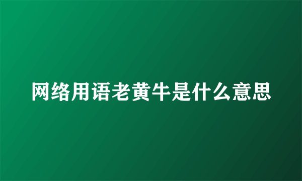 网络用语老黄牛是什么意思