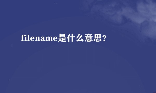 filename是什么意思?
