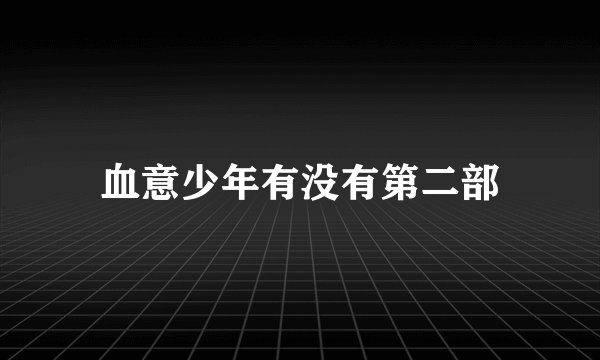 血意少年有没有第二部