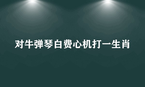 对牛弹琴白费心机打一生肖