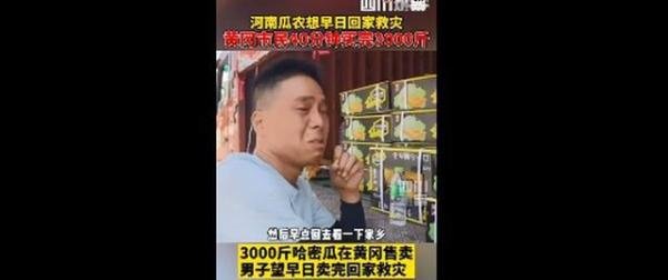 市民40分钟买完河南瓜农3000斤瓜