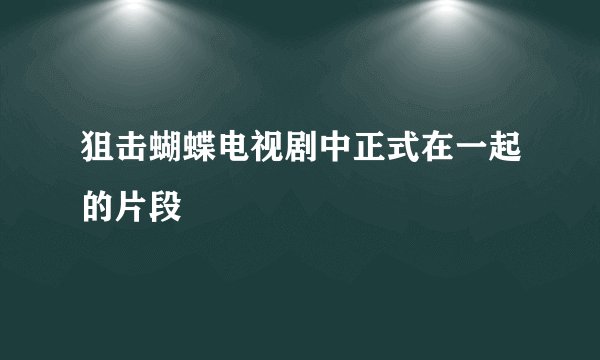 狙击蝴蝶电视剧中正式在一起的片段