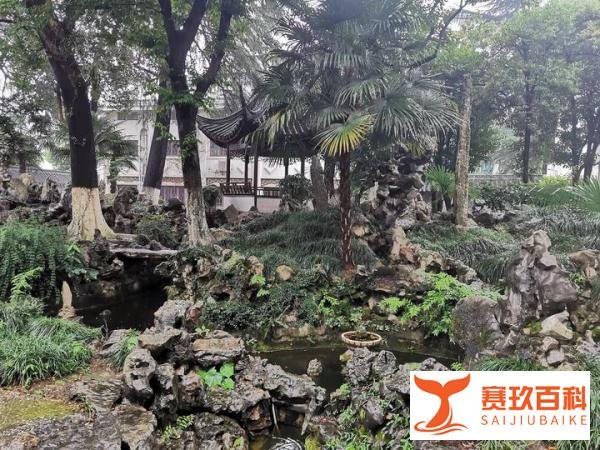 苏州篇（5）：藏身于图书馆里的小园林——天香小筑