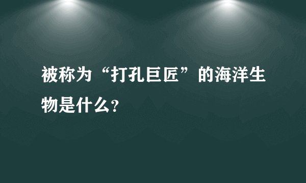 被称为“打孔巨匠”的海洋生物是什么？