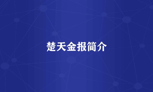 楚天金报简介