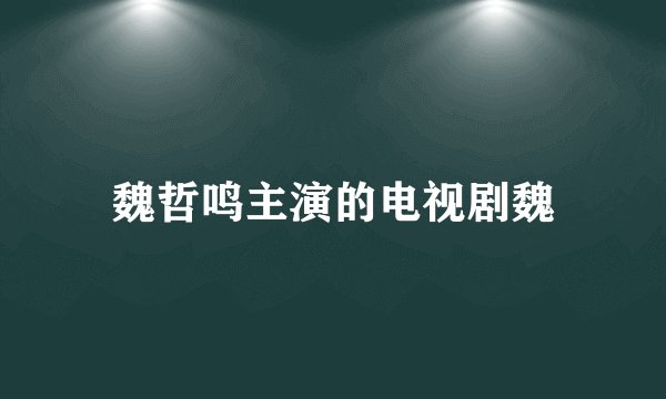 魏哲鸣主演的电视剧魏