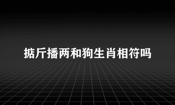 掂斤播两和狗生肖相符吗