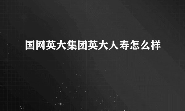 国网英大集团英大人寿怎么样