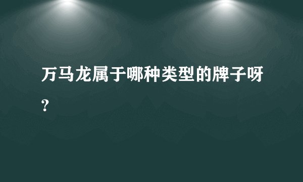 万马龙属于哪种类型的牌子呀？