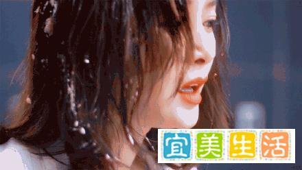 心疼，莫向晚被林湘粉丝砸蛋糕！