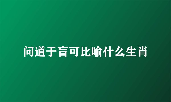 问道于盲可比喻什么生肖
