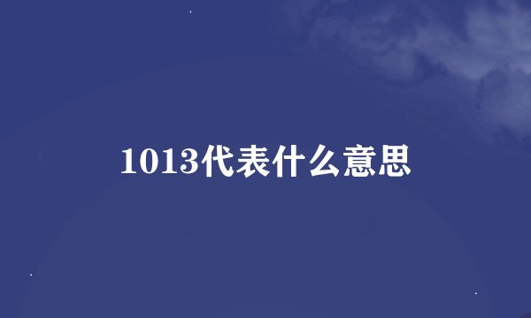 1013代表什么意思