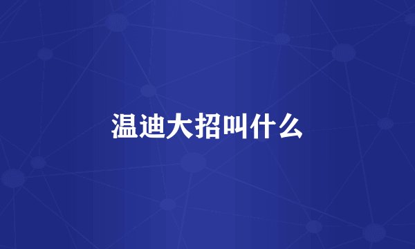 温迪大招叫什么