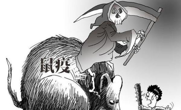 宁夏银川市确诊一例输入性鼠疫病例,俗称黑死病,曾肆虐欧洲