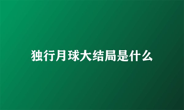 独行月球大结局是什么