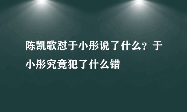陈凯歌怼于小彤说了什么？于小彤究竟犯了什么错