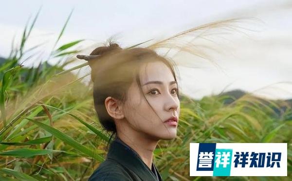 《雪中悍刀行》徐凤年的五大丫鬟两个是叛徒，其余三人做了老婆
