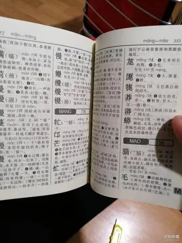 撸起拼音
