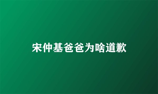 宋仲基爸爸为啥道歉